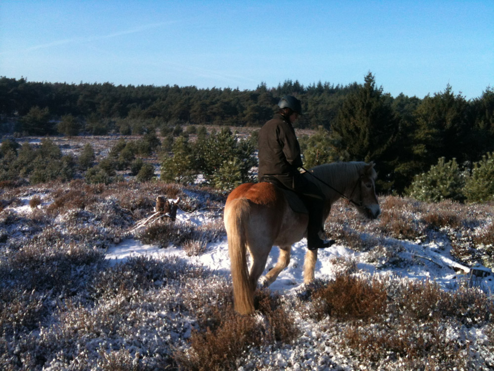 paardrijden-op-de-winterse-holterberg